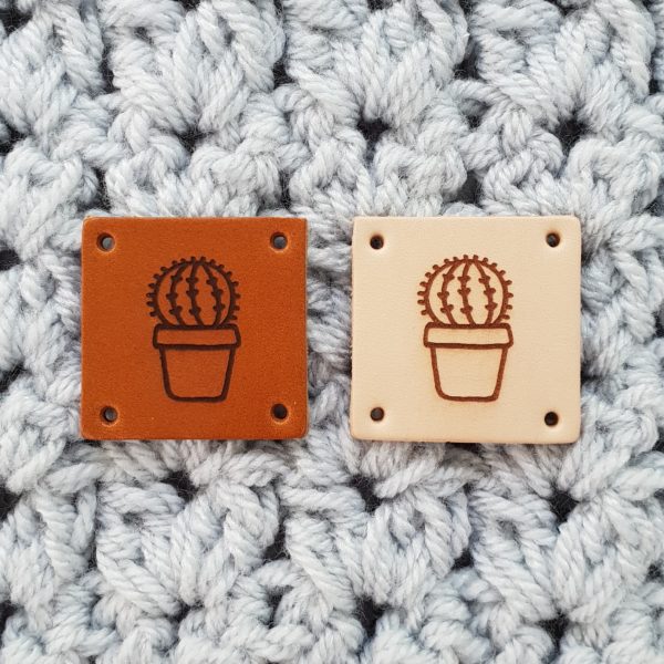 VG13 - cactus