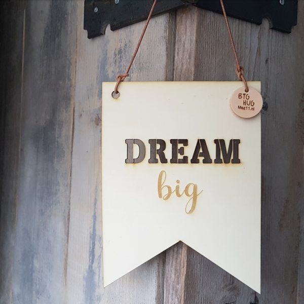 HV 03 Dream big