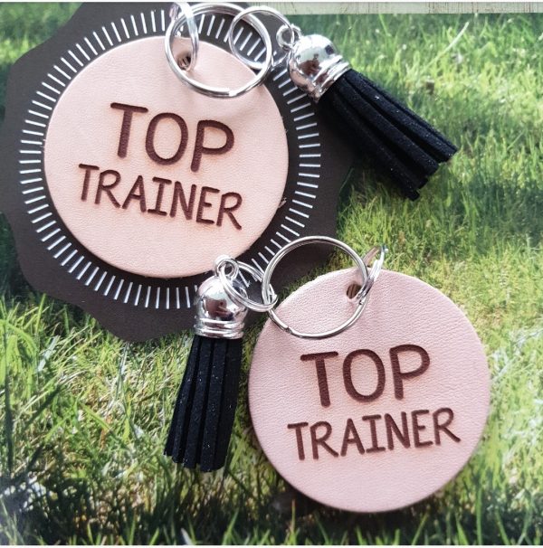 SH-RO 45 TOP Trainer